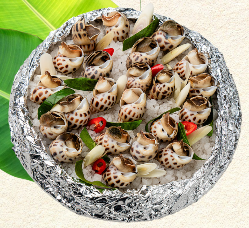 Screenshot 2025-12-08 164946.png